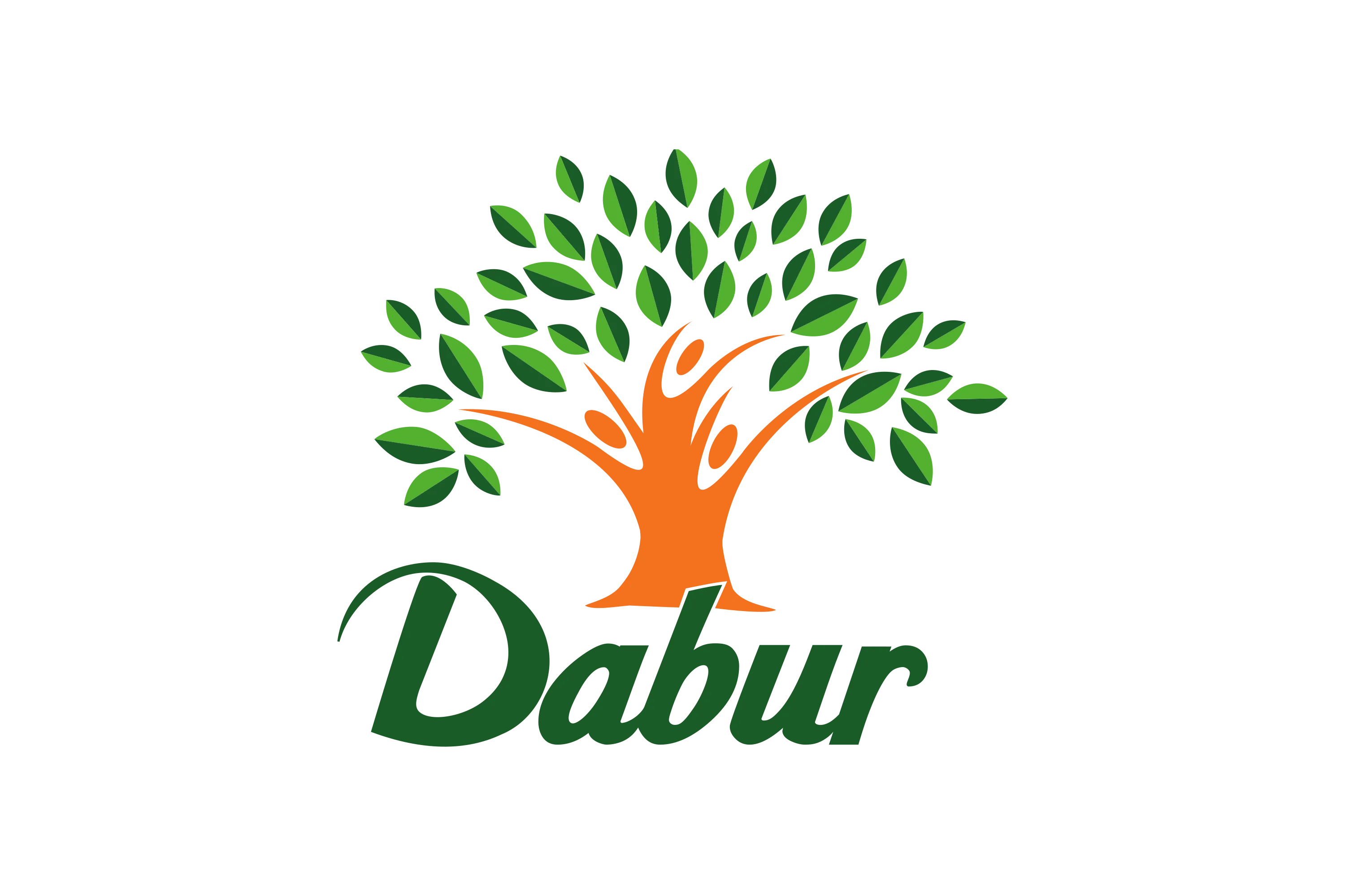 Dabor